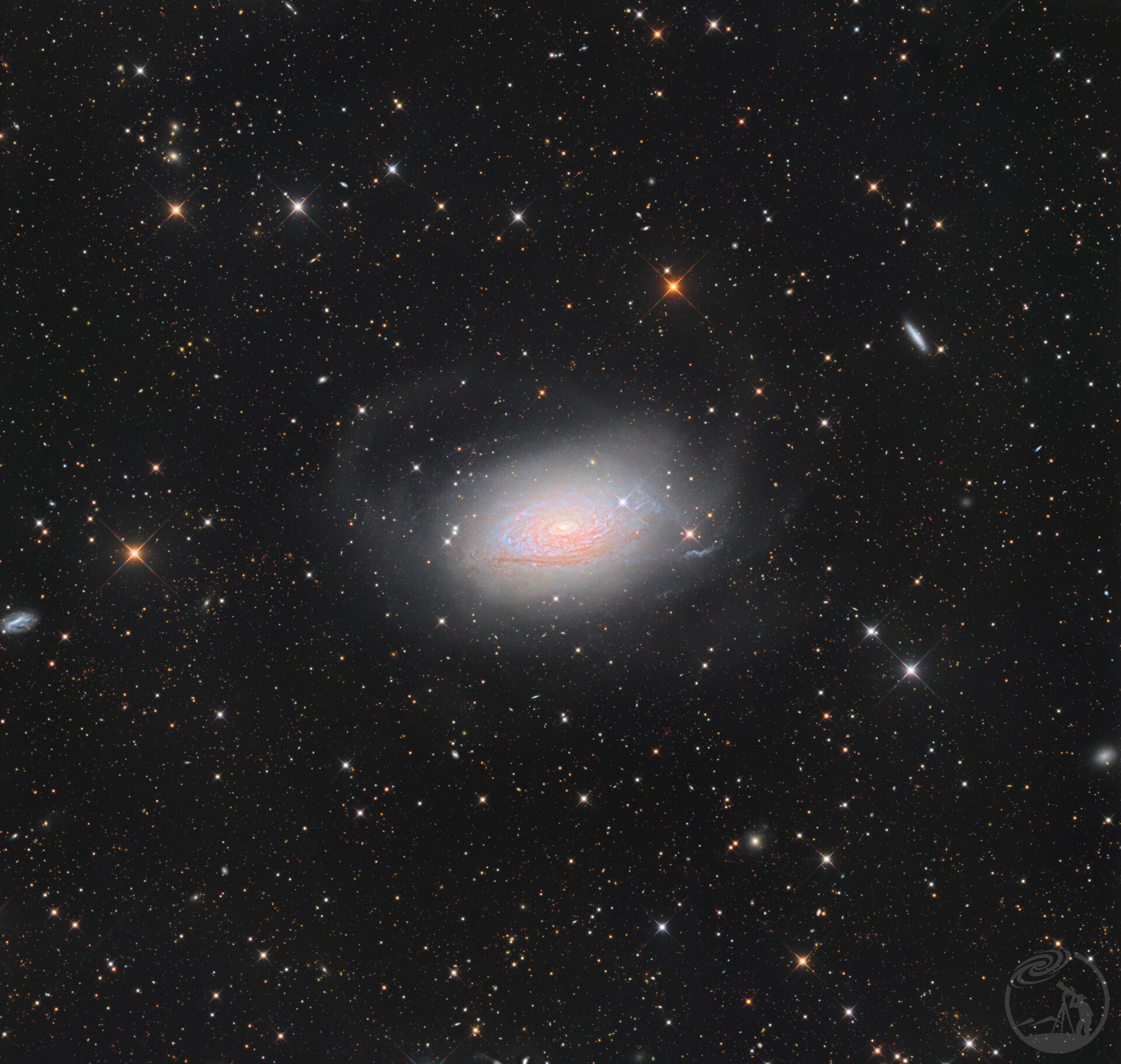 绽放的向日葵 M63 