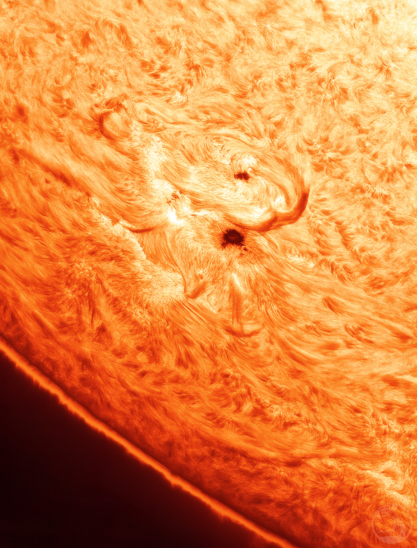 2026-6-10