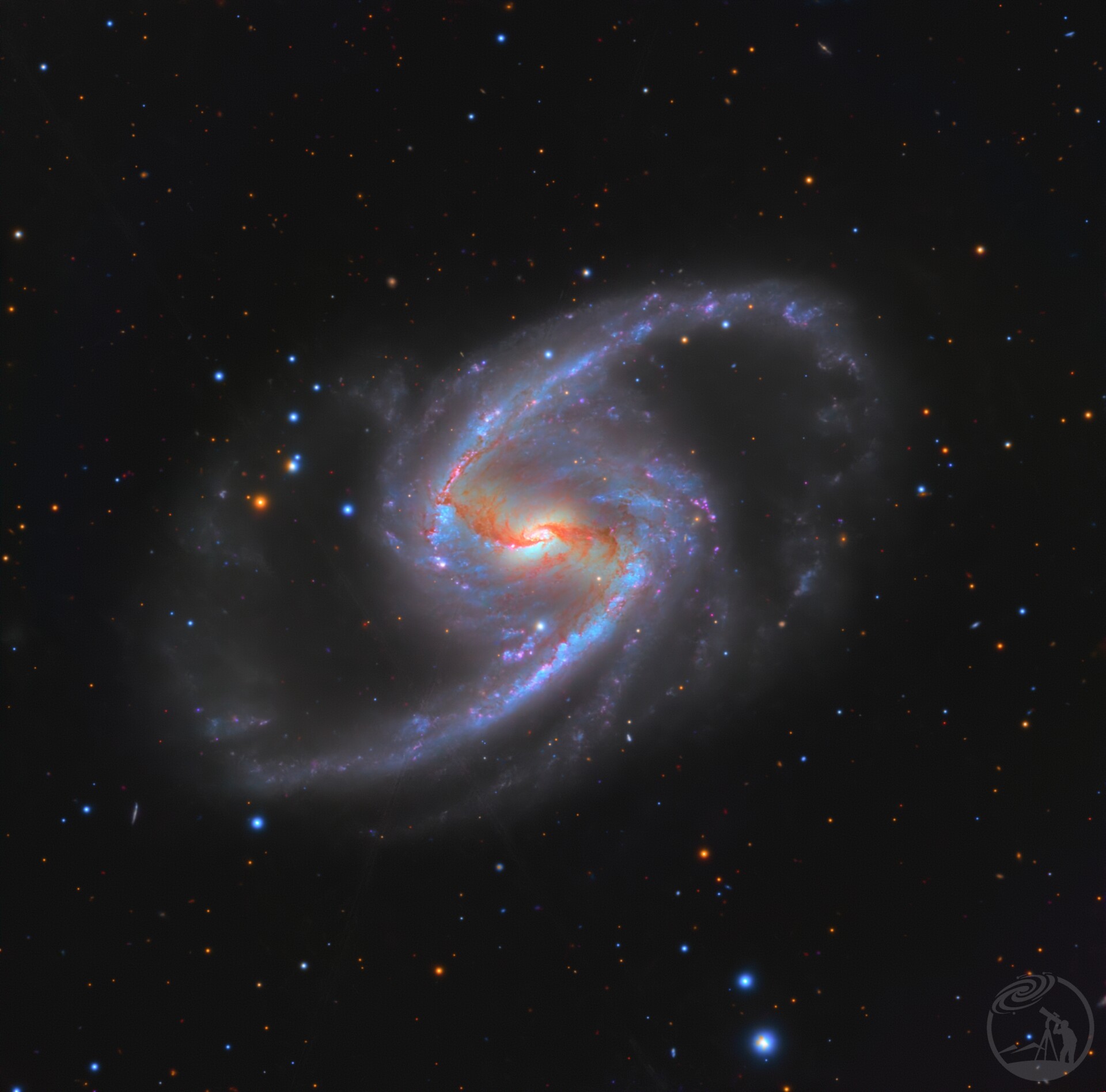 ngc1365