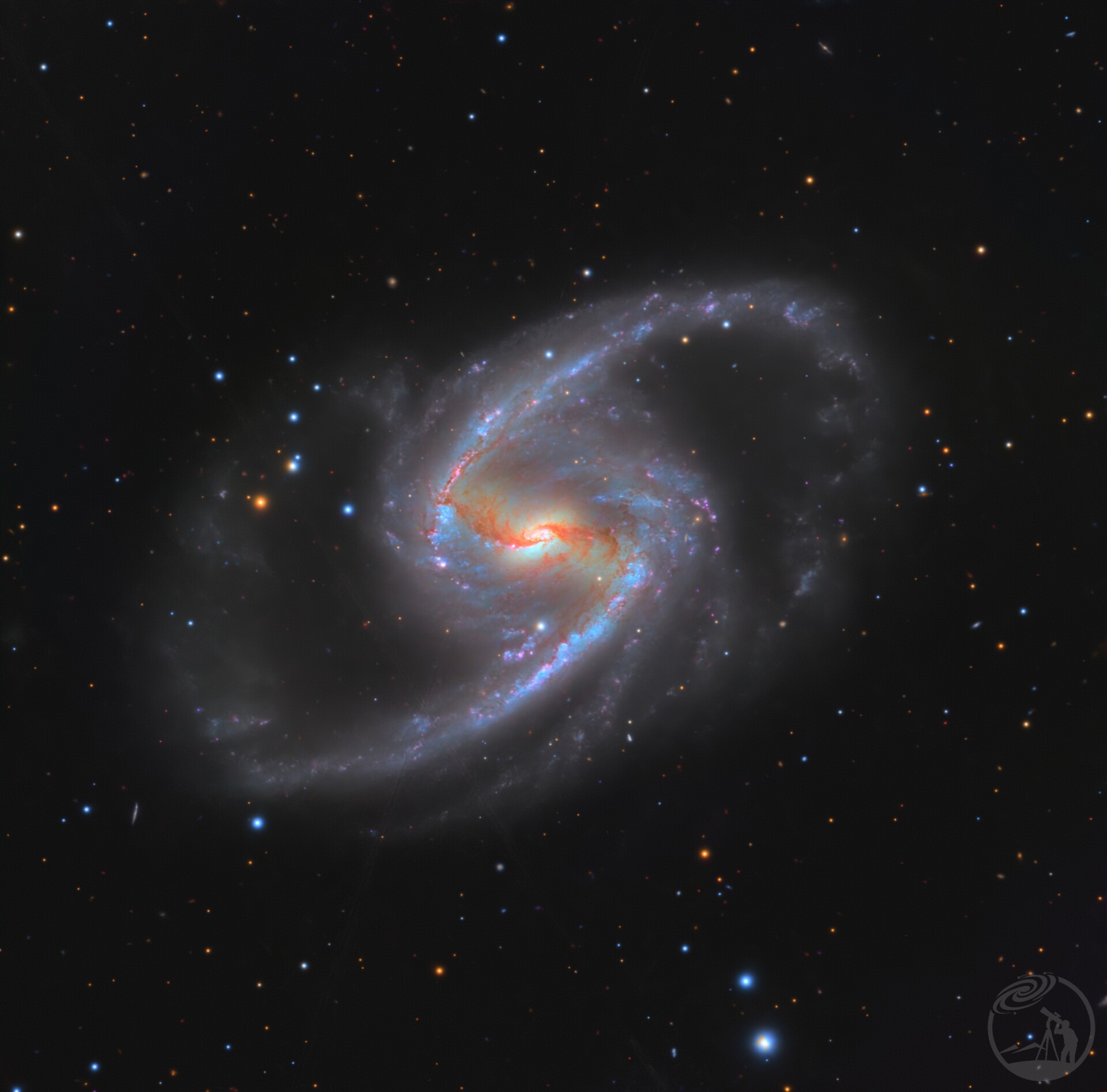 ngc1365