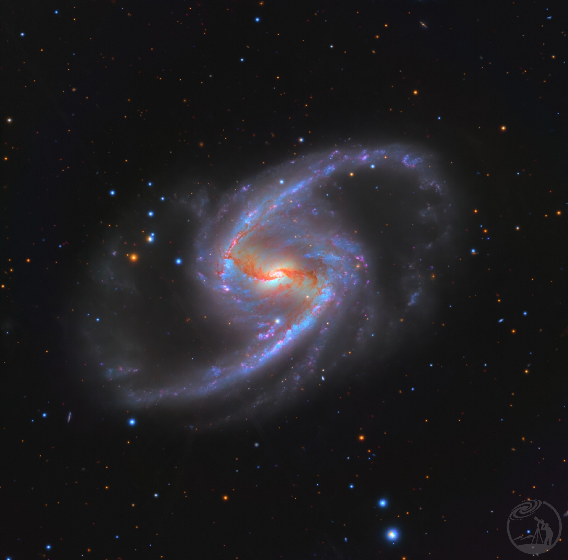 ngc1365