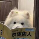 阡陌