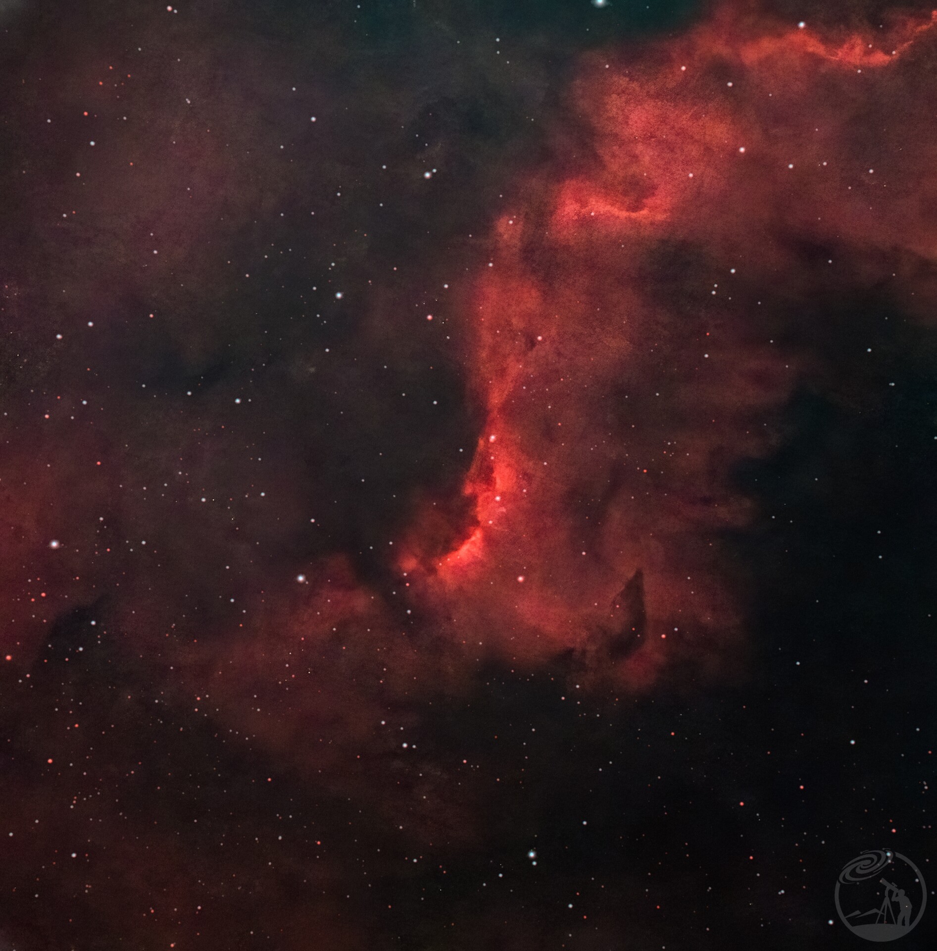 NGC7000