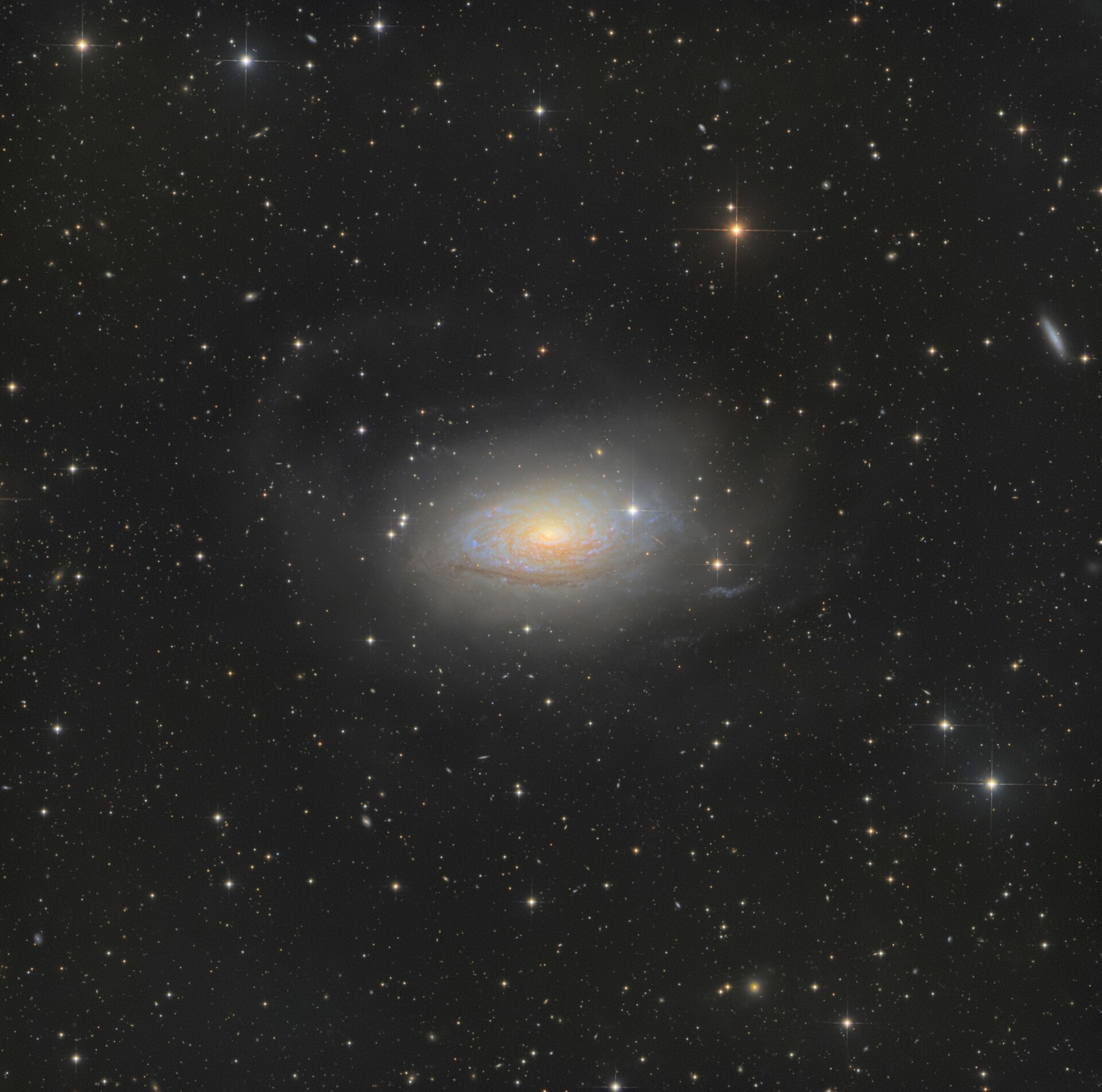 M63