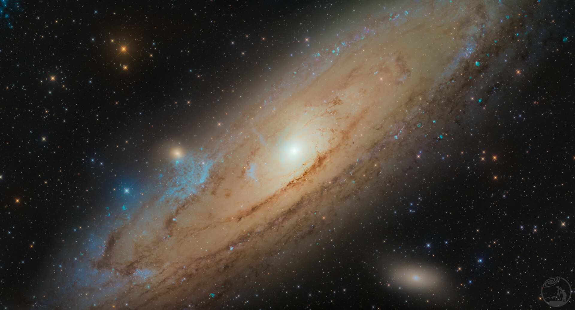 M31 冥界之花