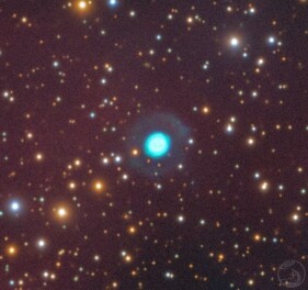 LBN878