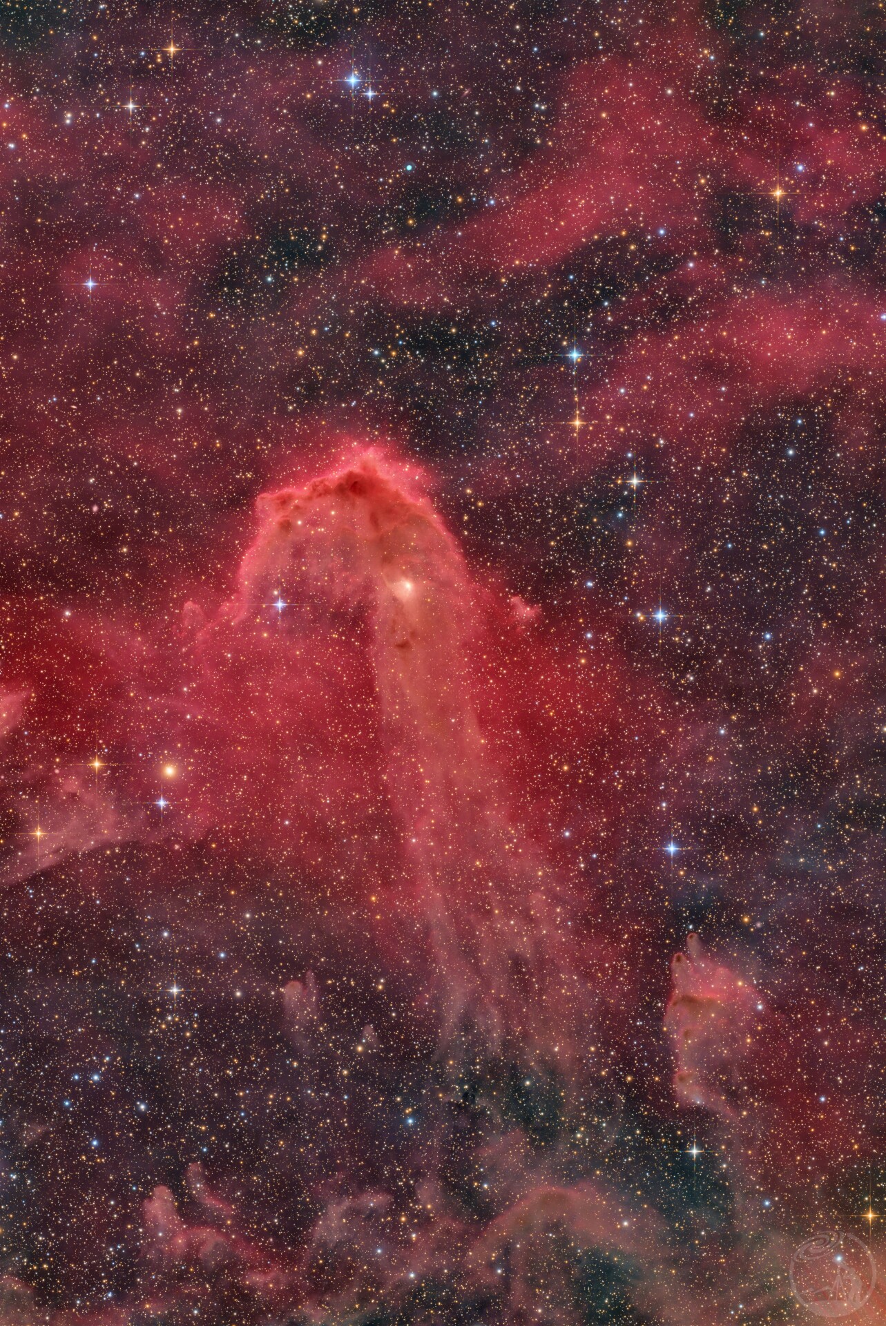 LBN878