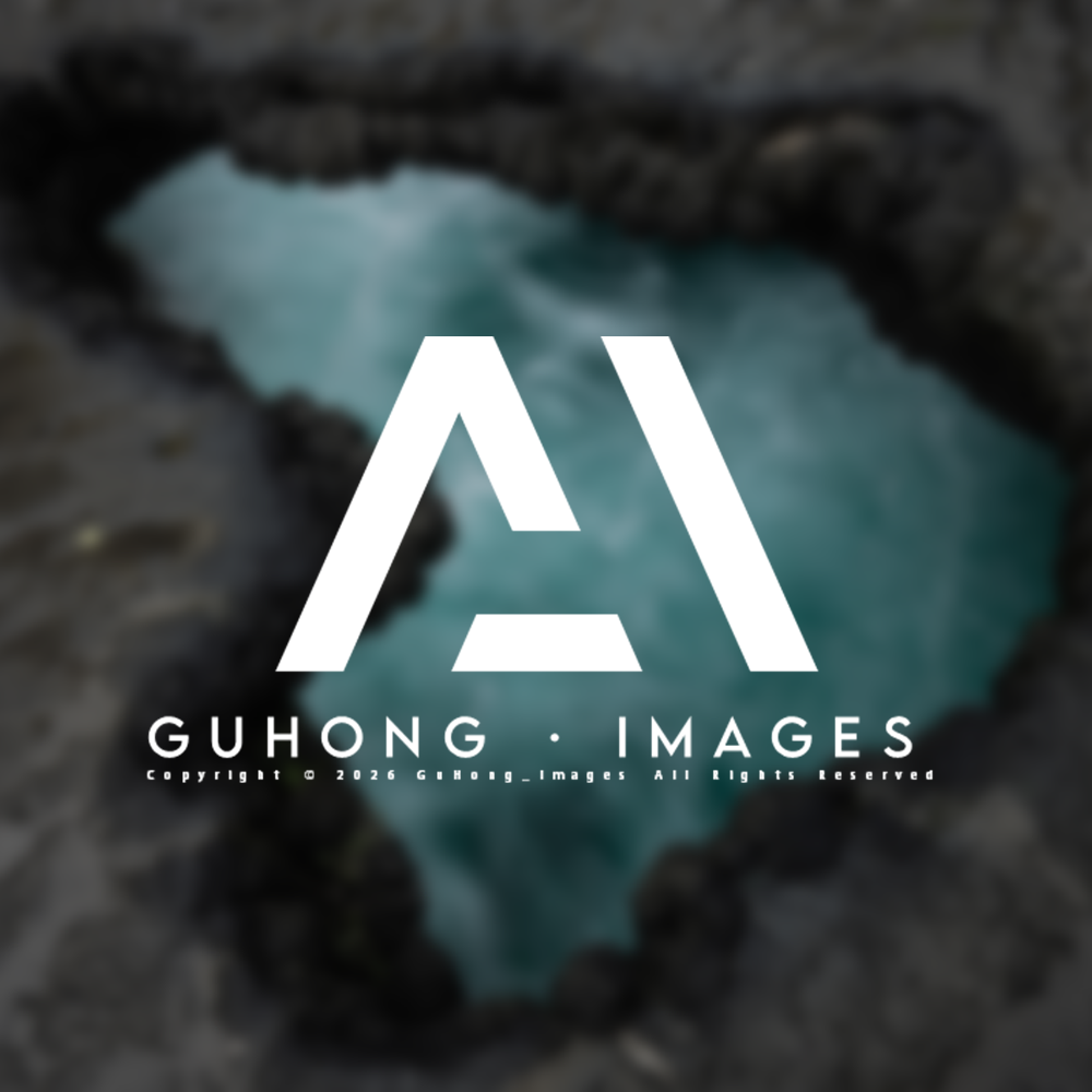 孤鸿·images