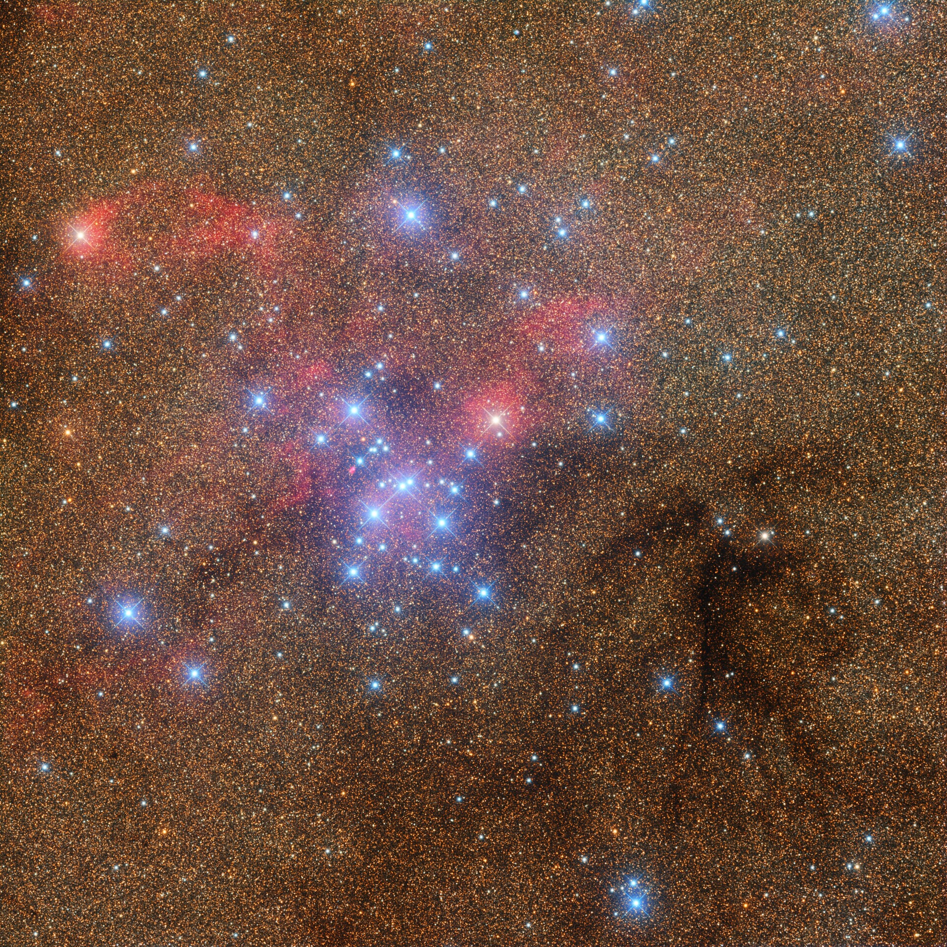 M7-星汉银鱼
