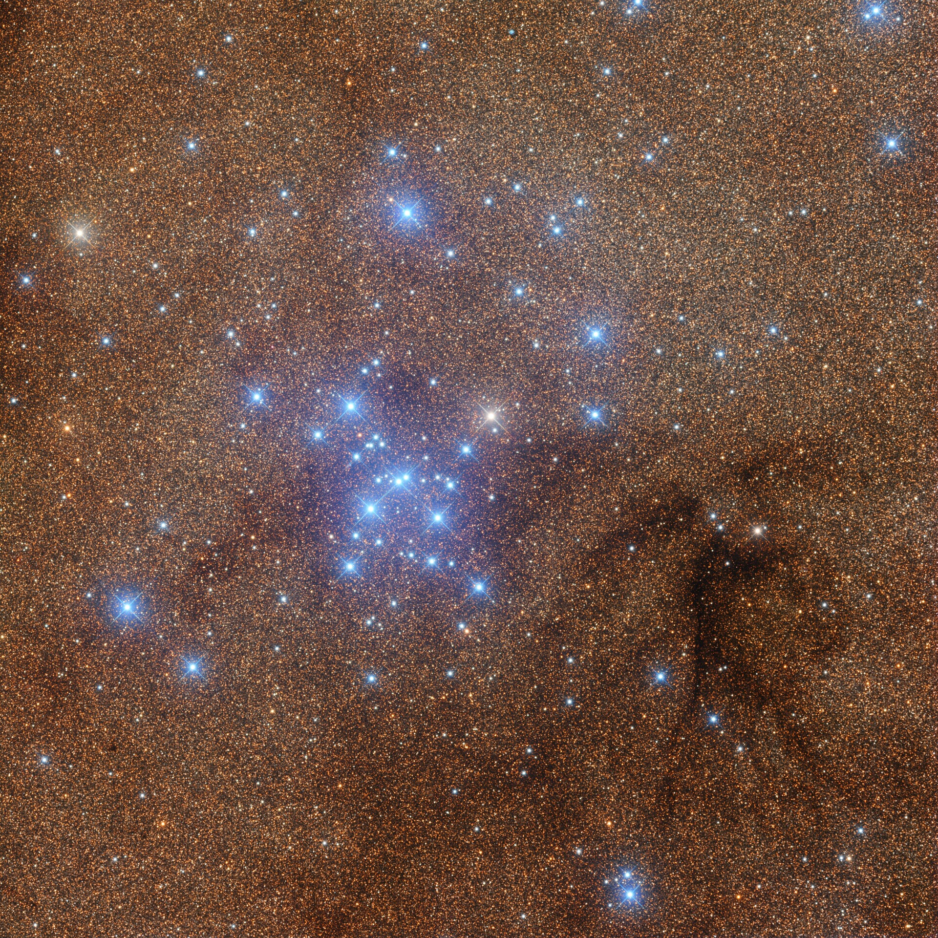 M7-星汉银鱼