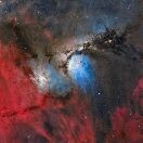 stars