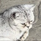 亲爱的兰州烧饼