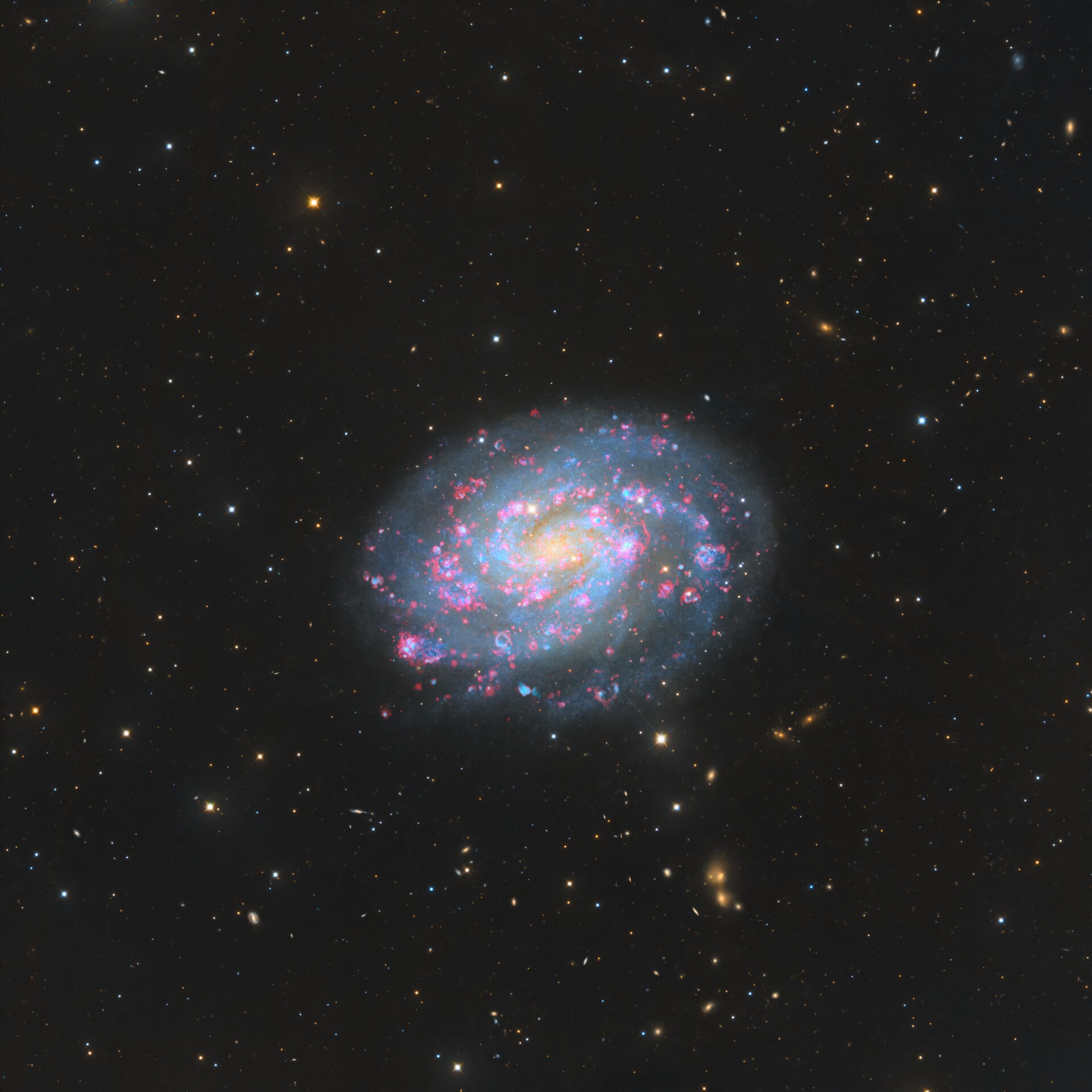NGC300光之螺旋火之花