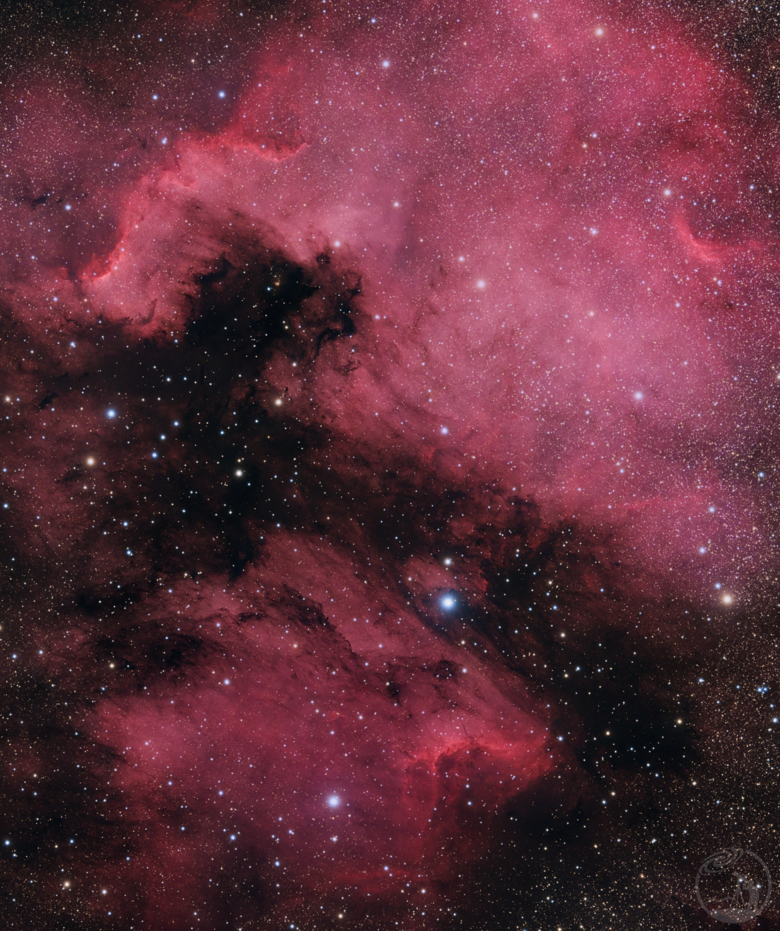 NGC7000