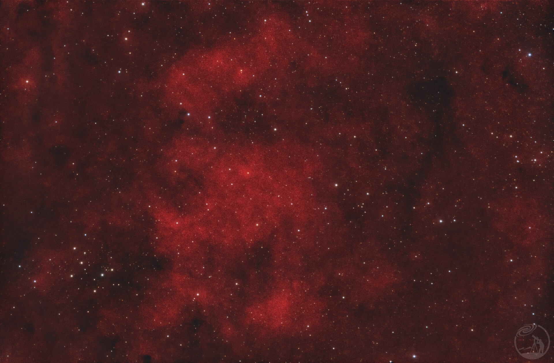 打卡M29