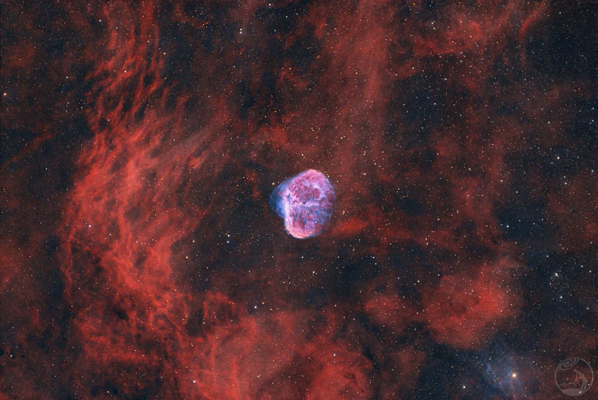 宇宙脑花