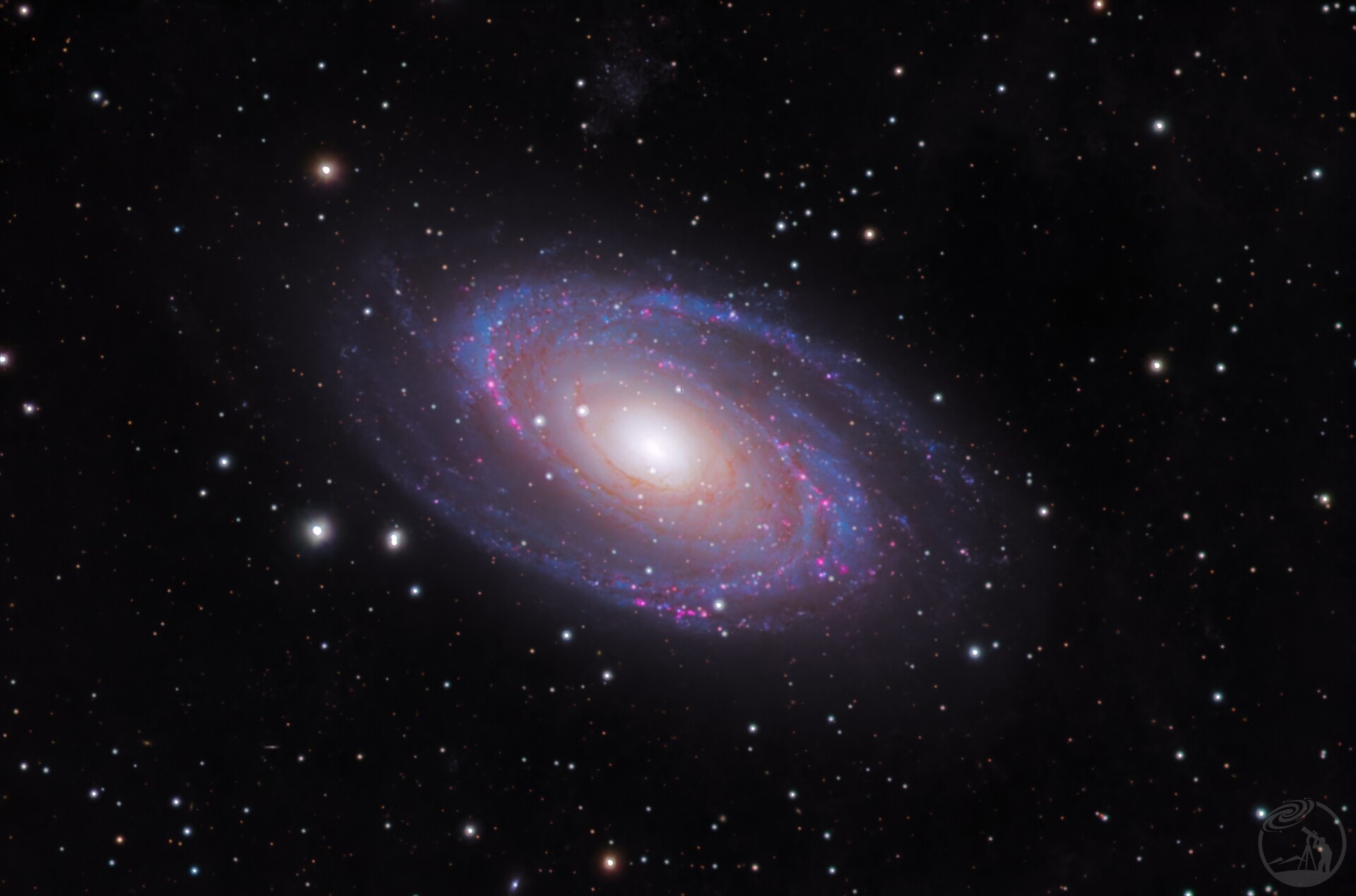 M81