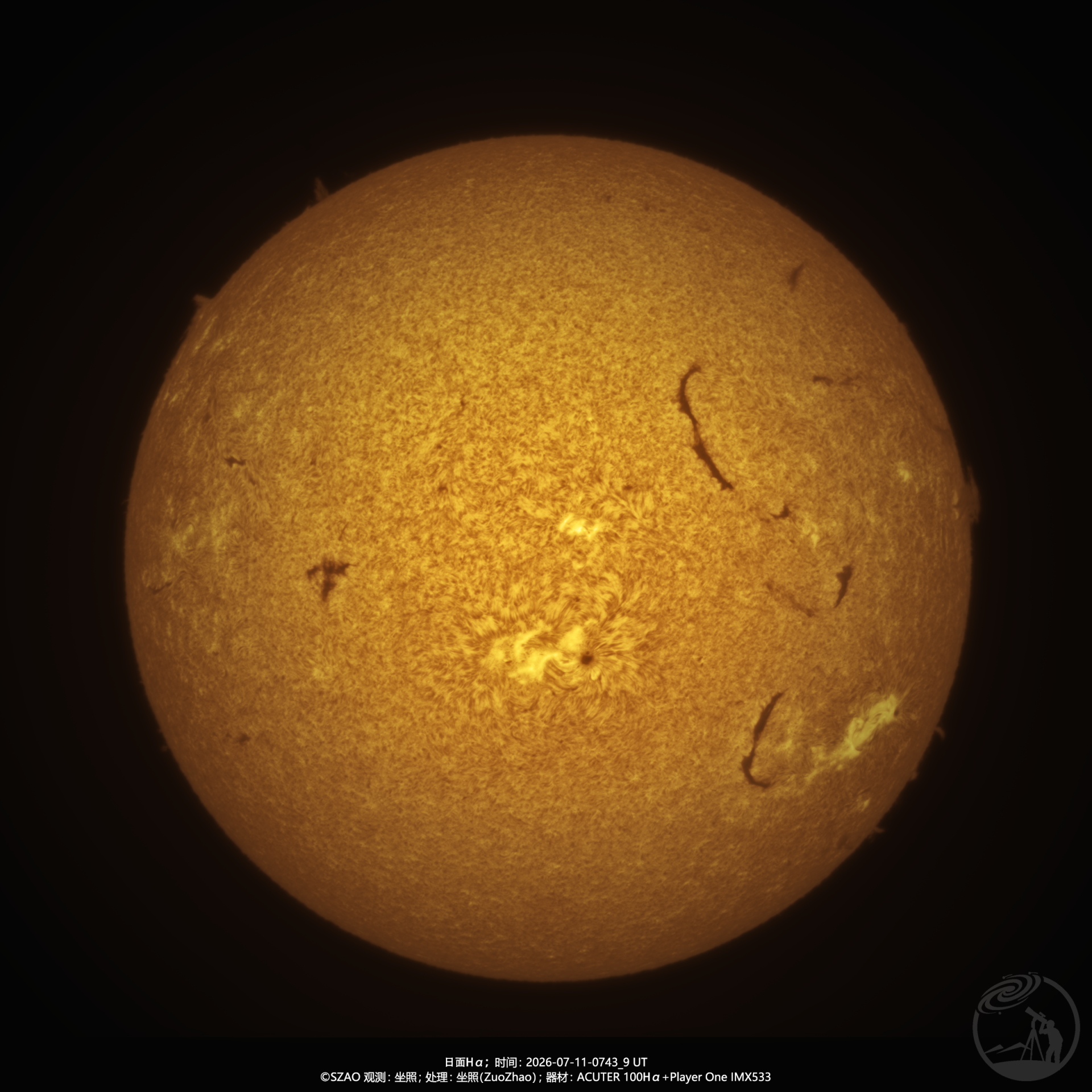散开的松果-AR14482