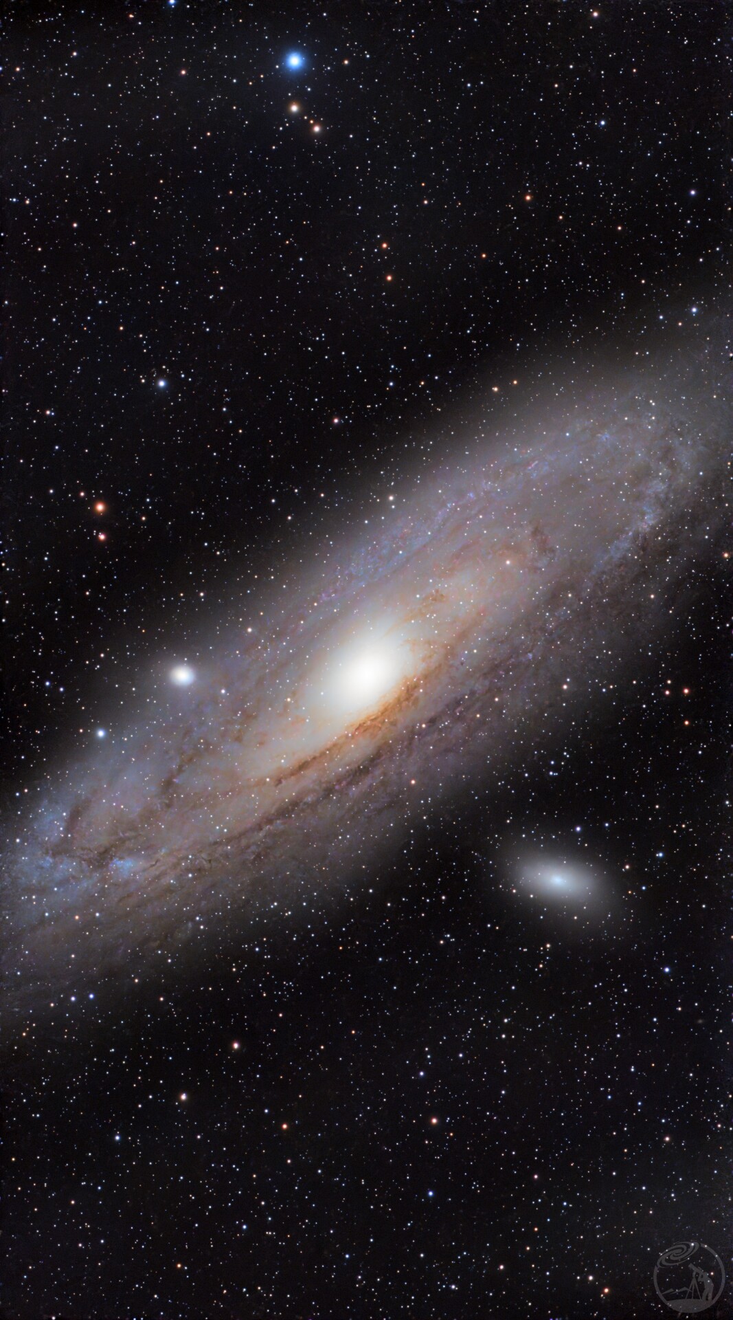 M31