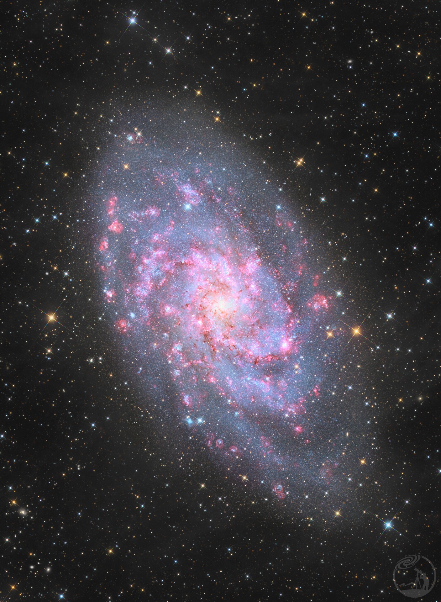 M33