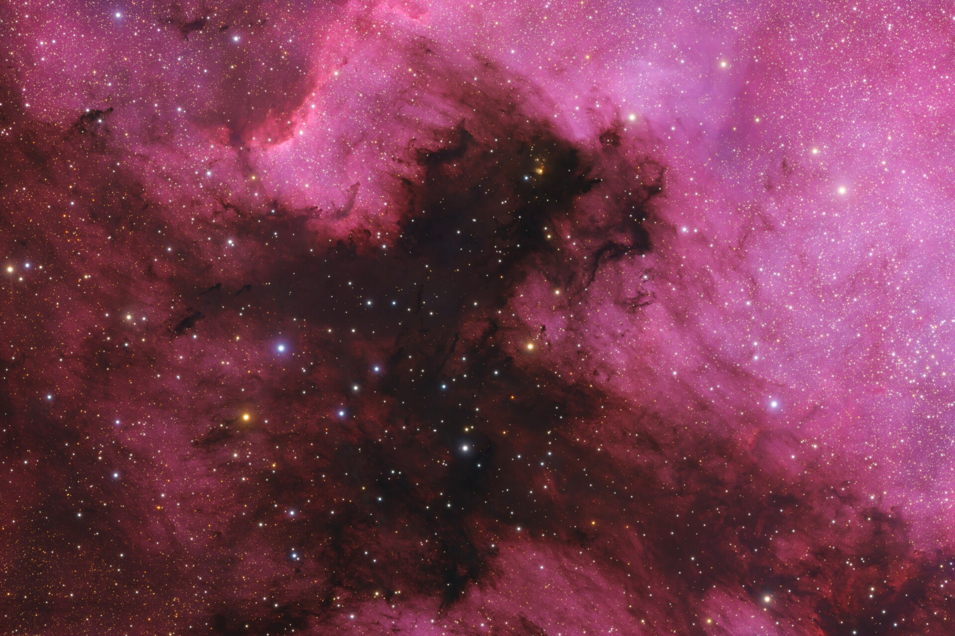 NGC7000-咫尺天堂