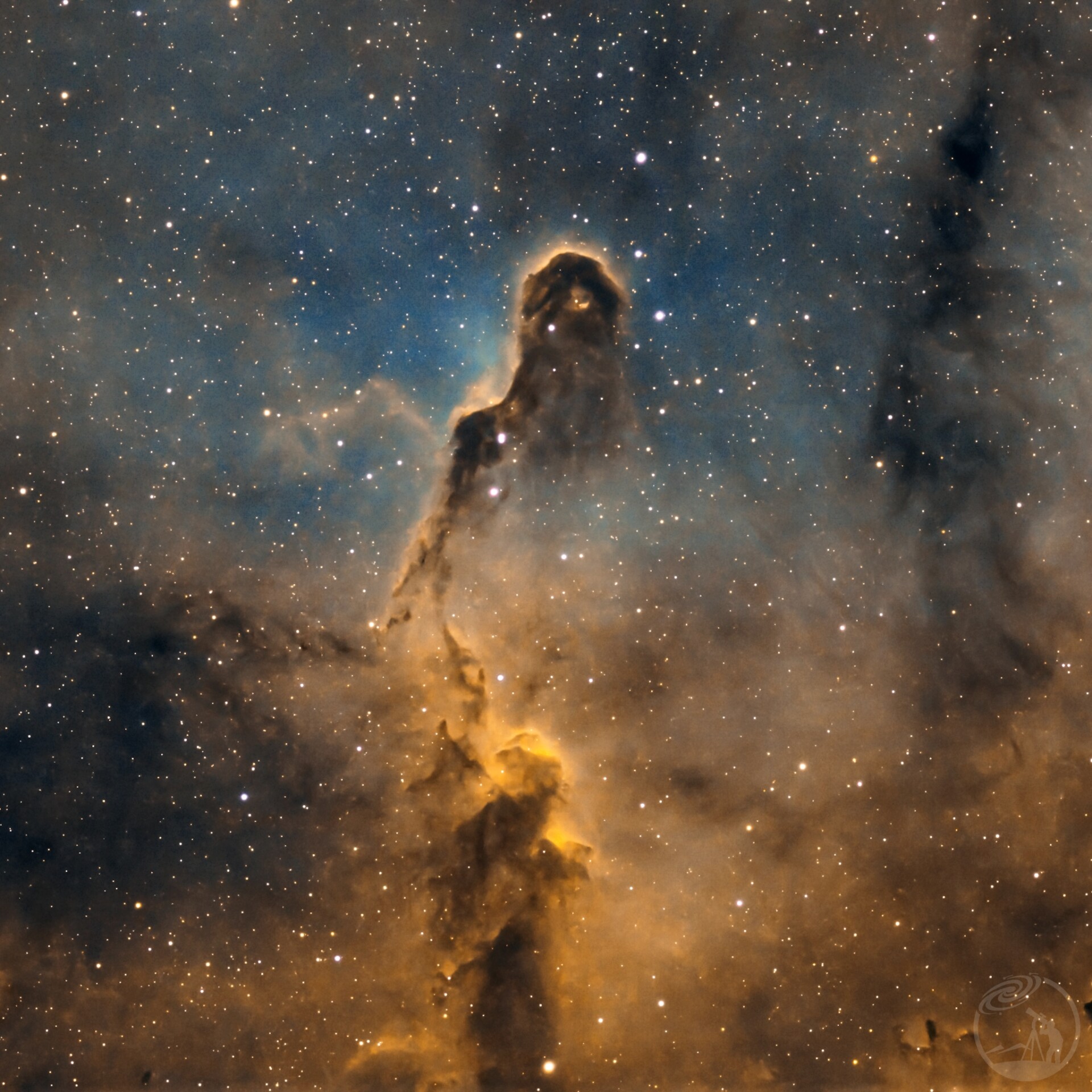 象鼻星云
