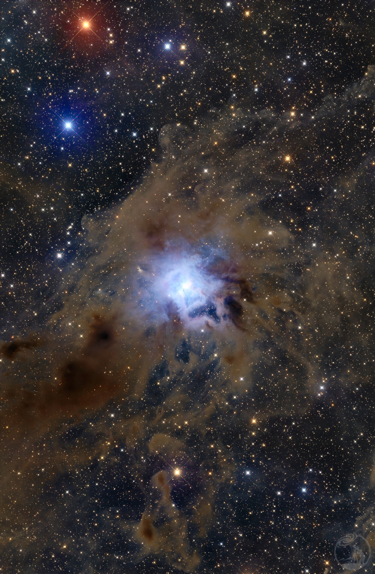 NGC7023鸢尾花