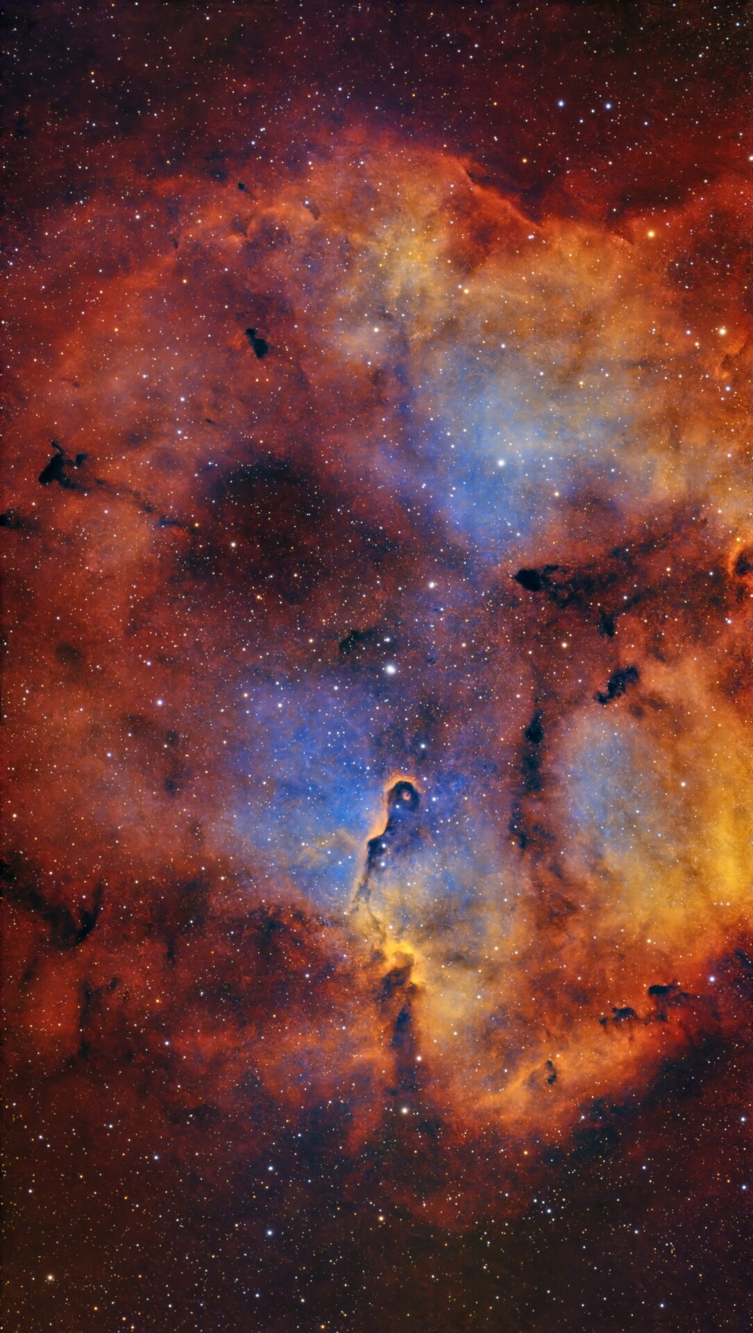 四级区打野象鼻星云