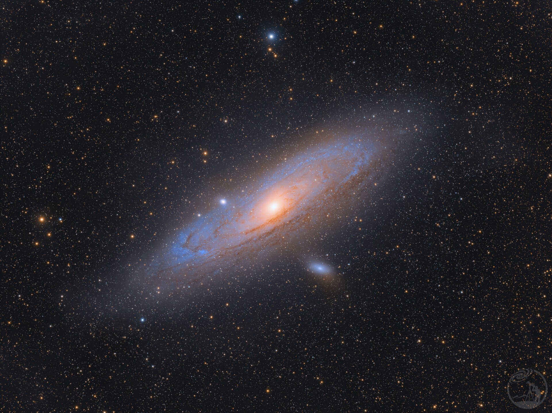 M31