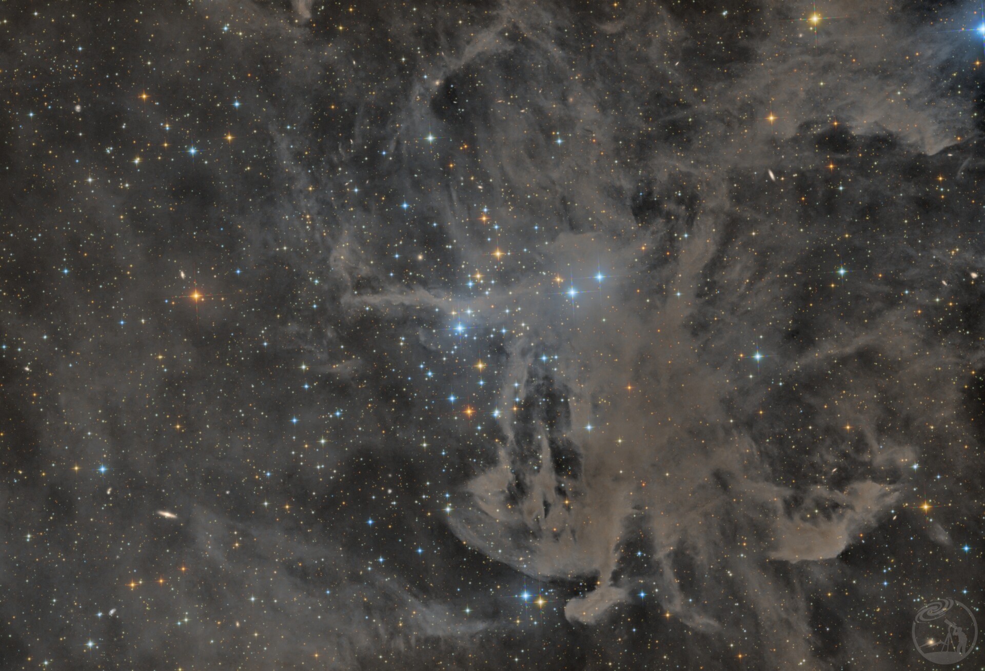 NGC1342/蜘蛛暗云