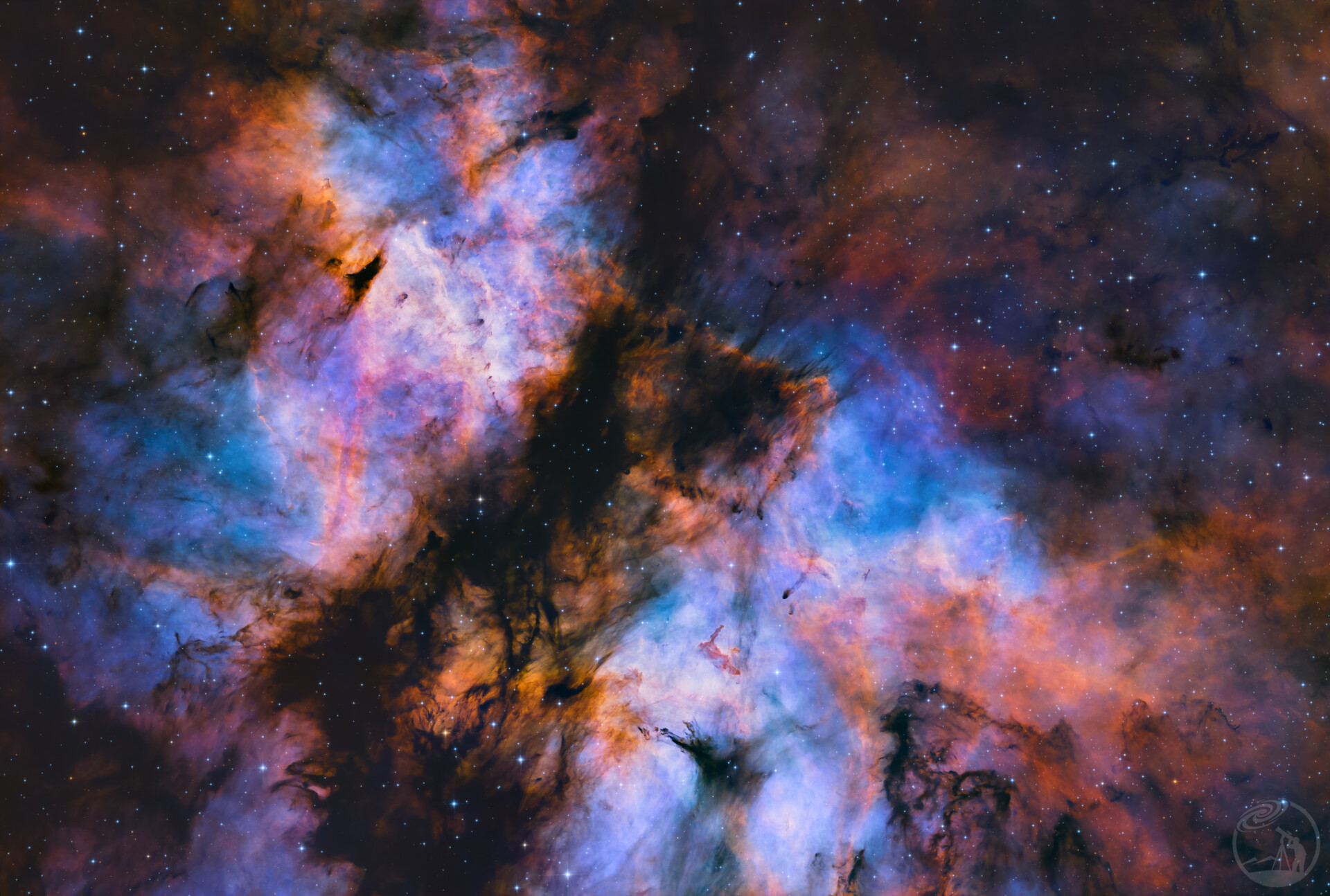 IC1318蝴蝶🦋