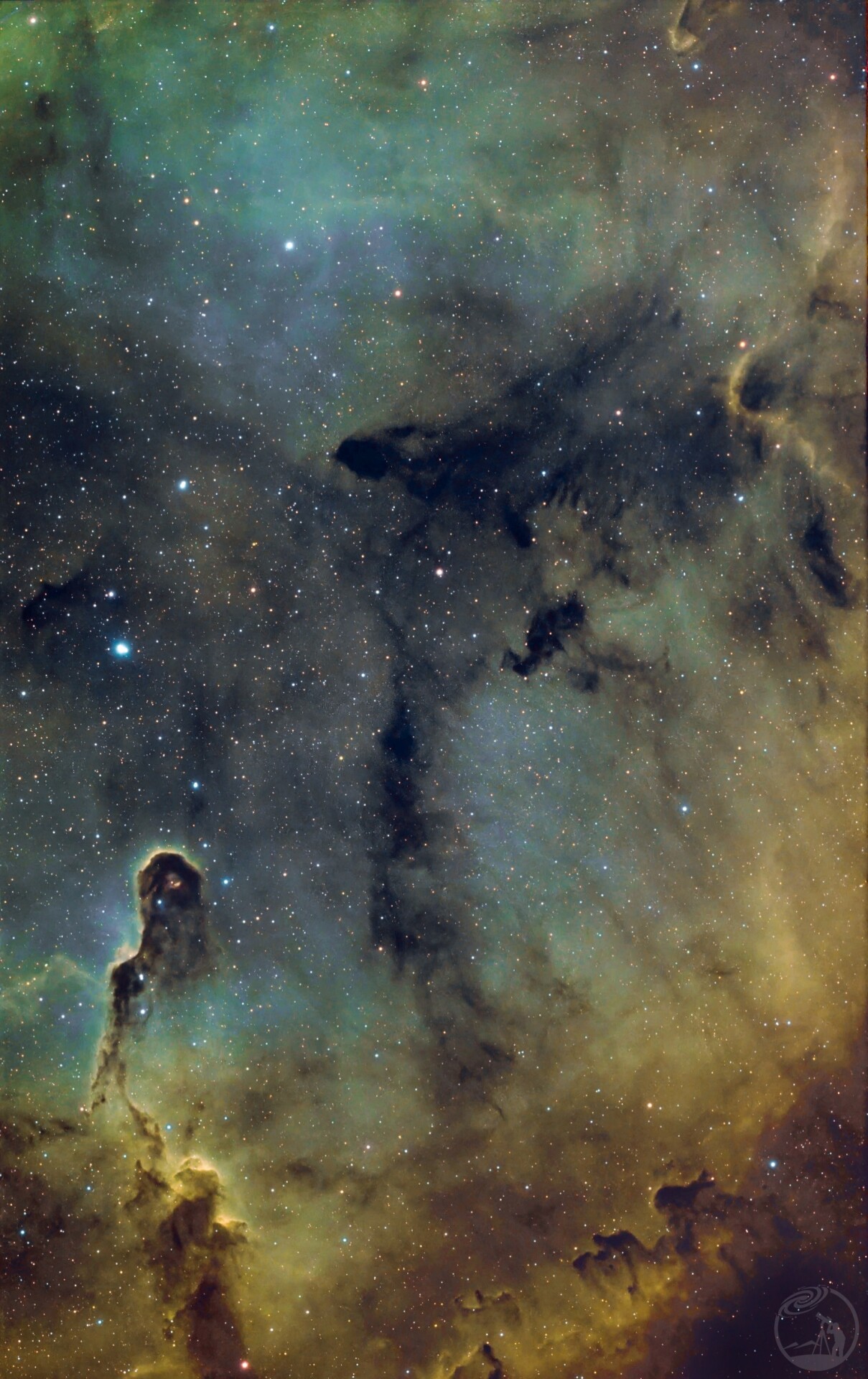 象鼻星云SHO