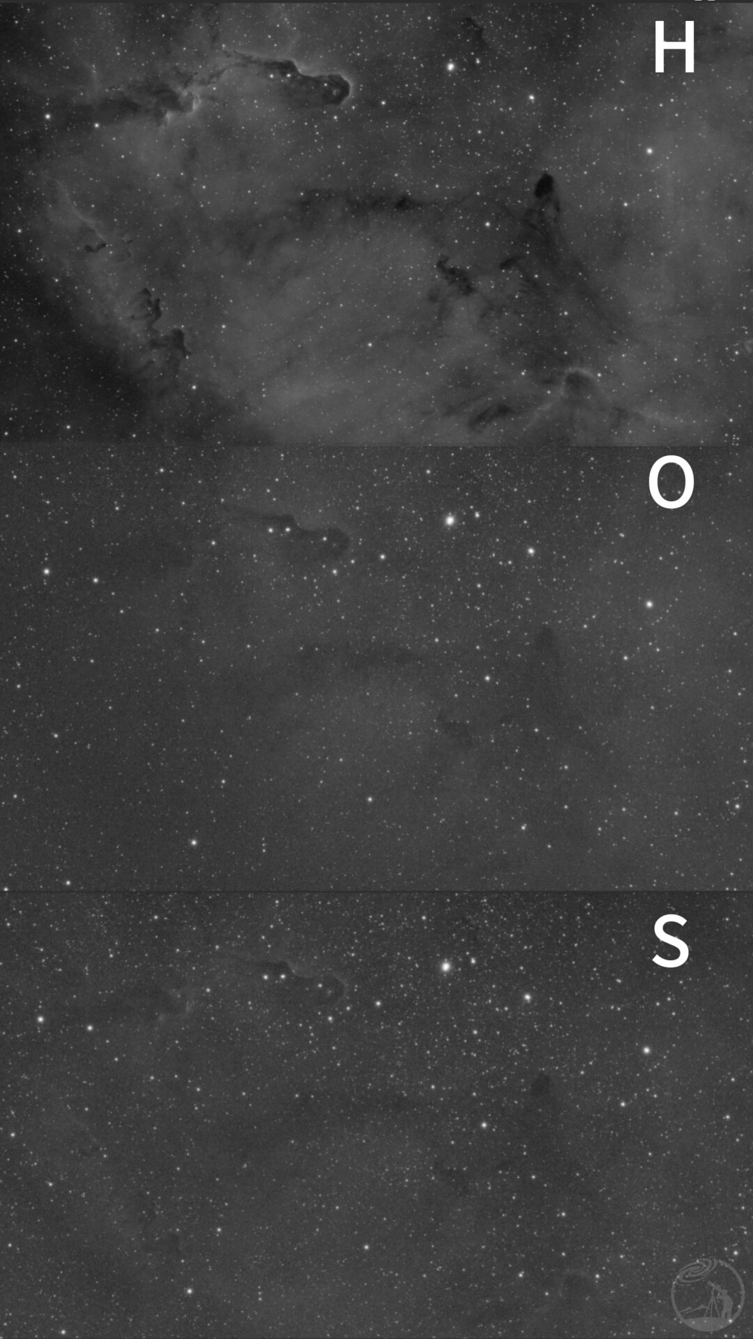 象鼻星云SHO