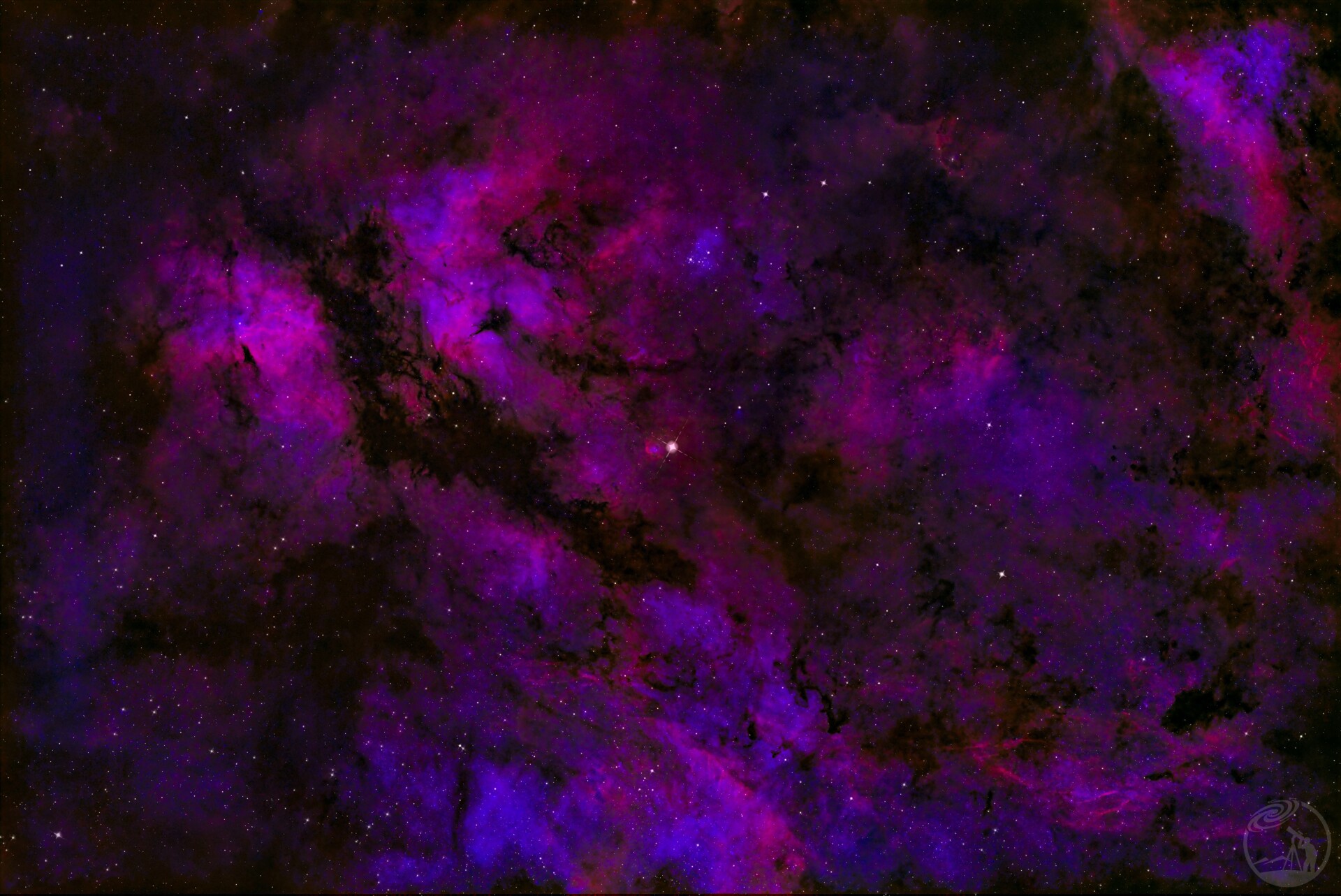 IC1318 蝴蝶🦋星云