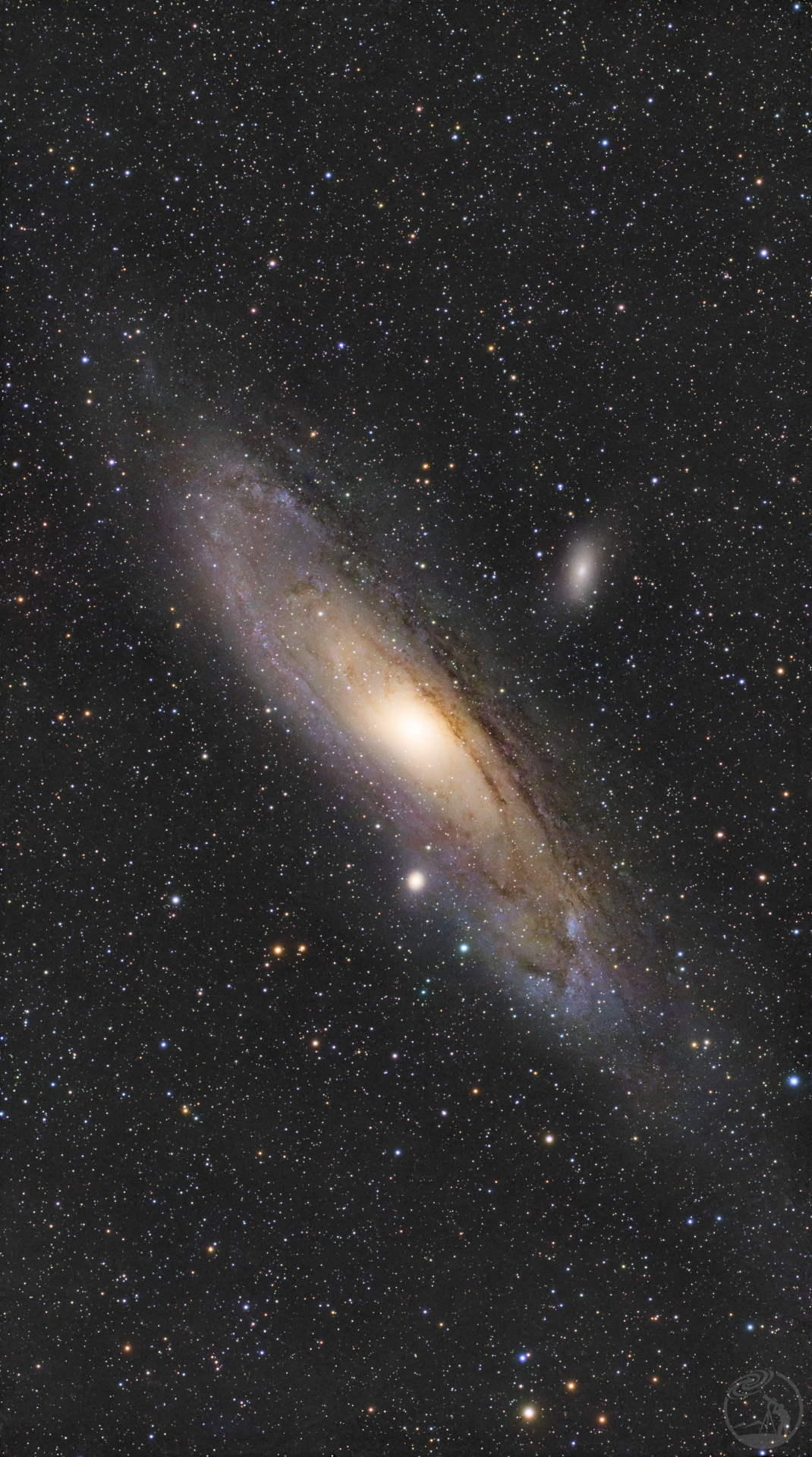 M31