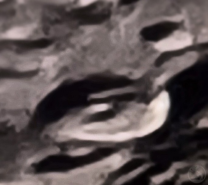 降落晨昏线
