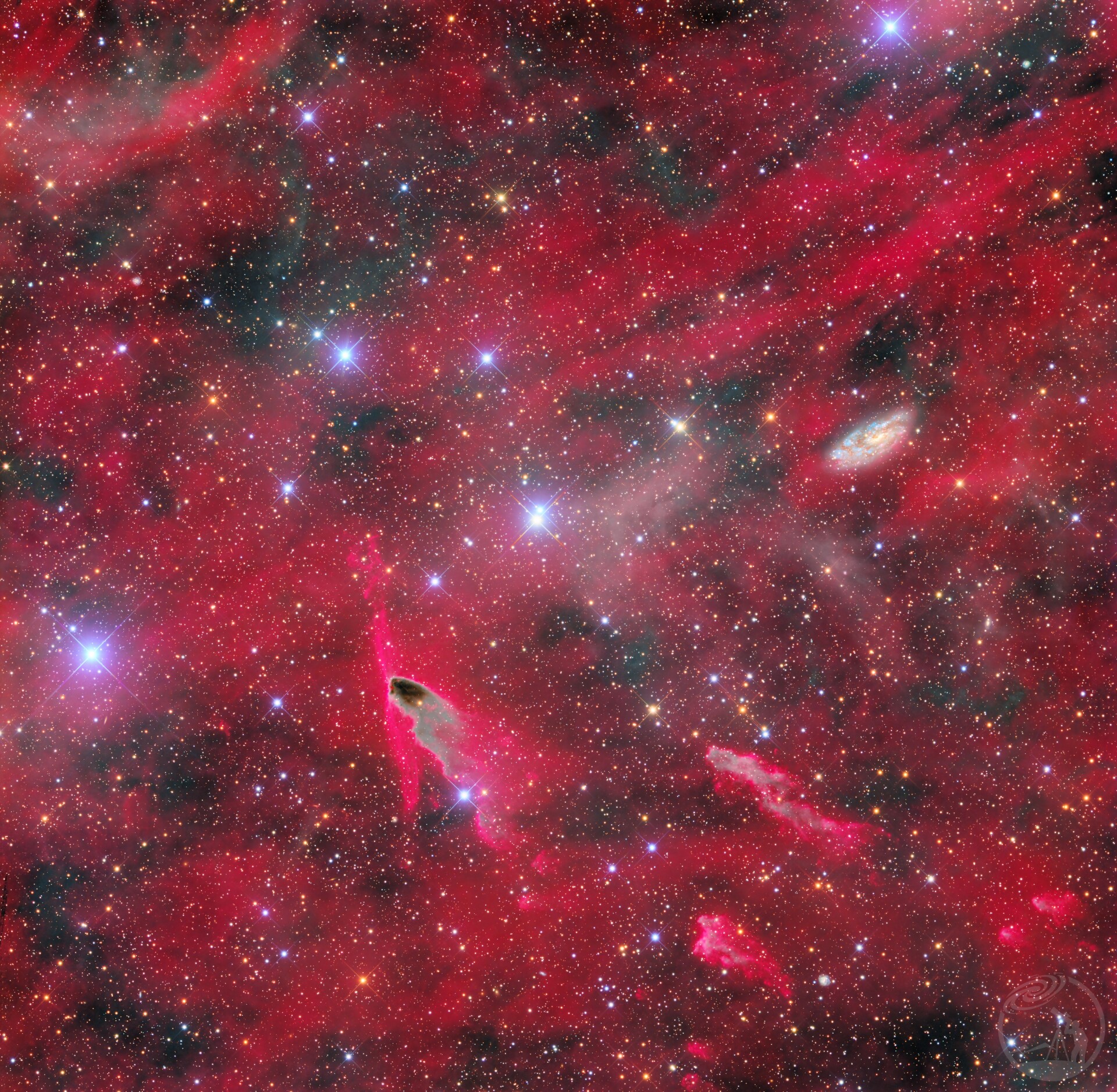 NGC2427