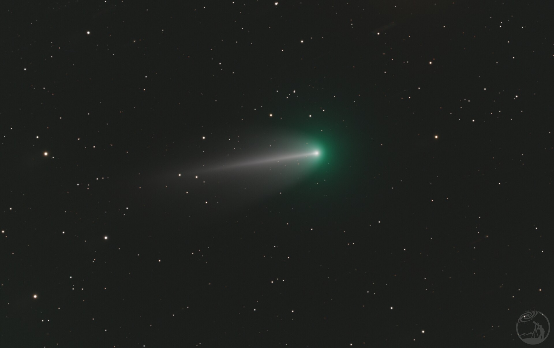 220P-McNaught