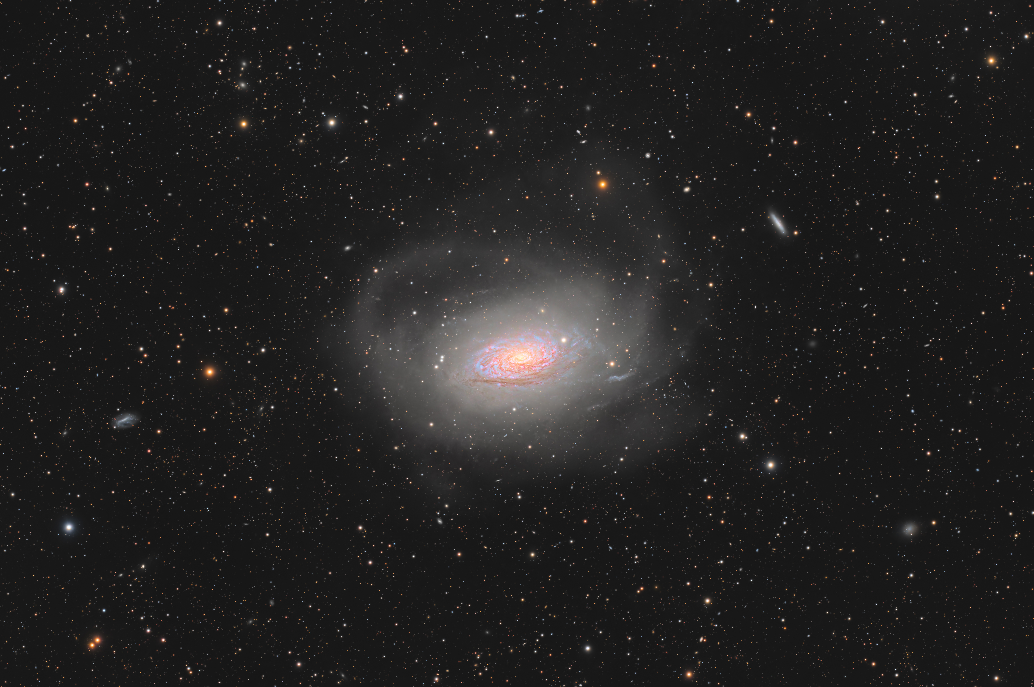 M63（青春版）
