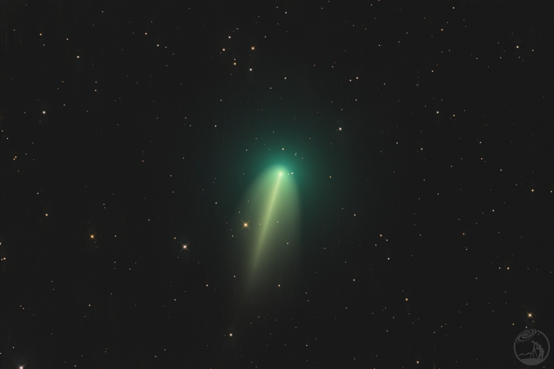 220P/McNaught
