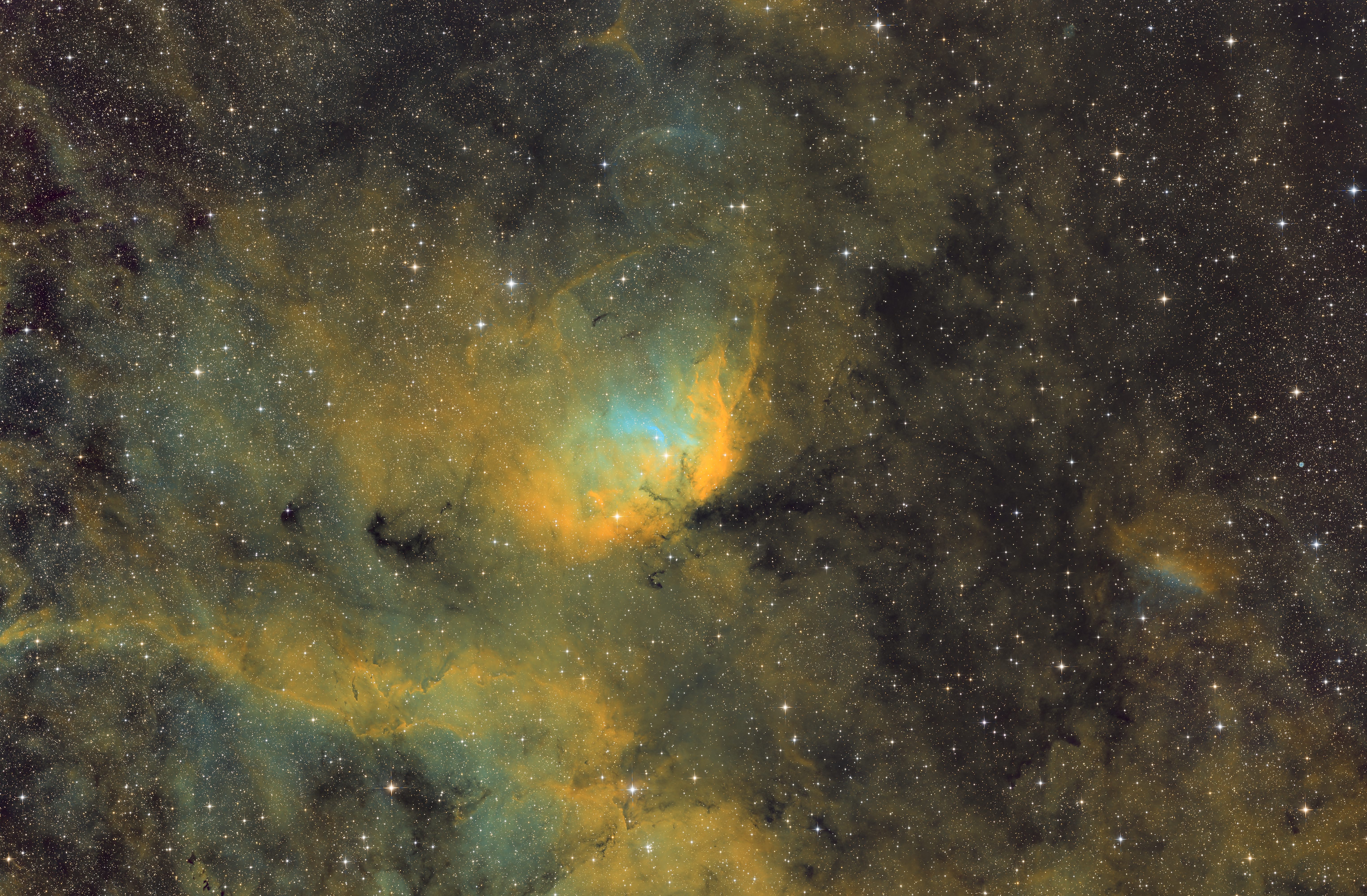 SH2-101(郁金香星云)