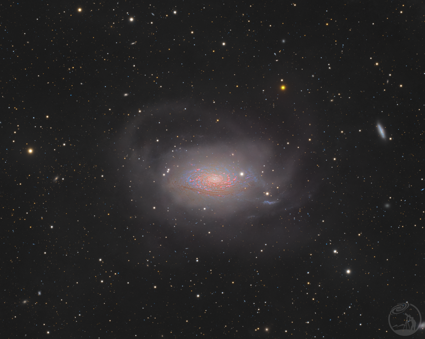 M63