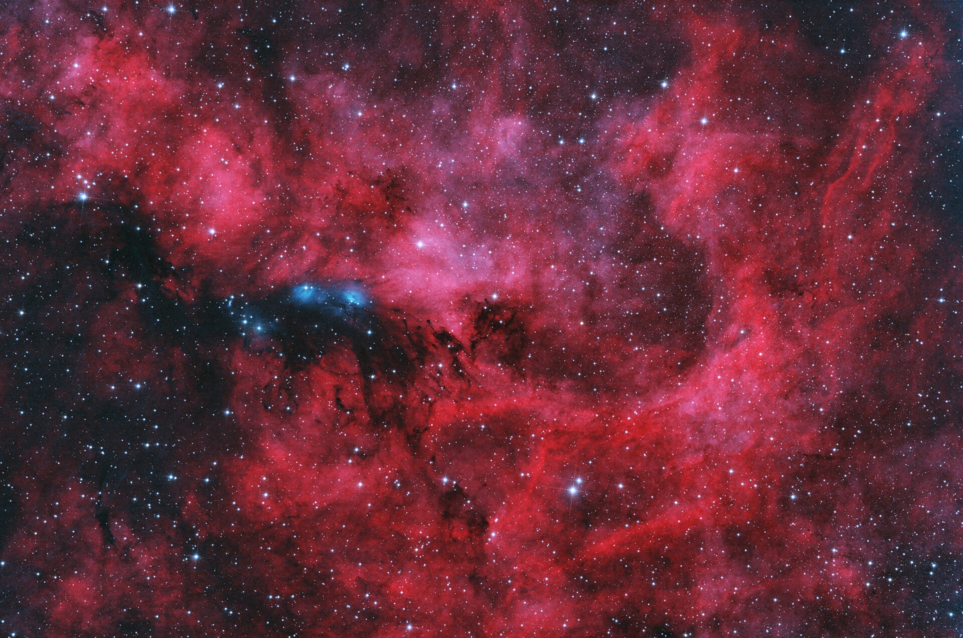 天鹅座反射星云NGC6914,vdn131,vdb132