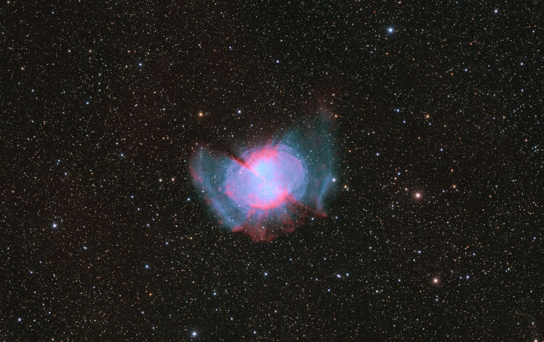 M27  海马 象鼻素材