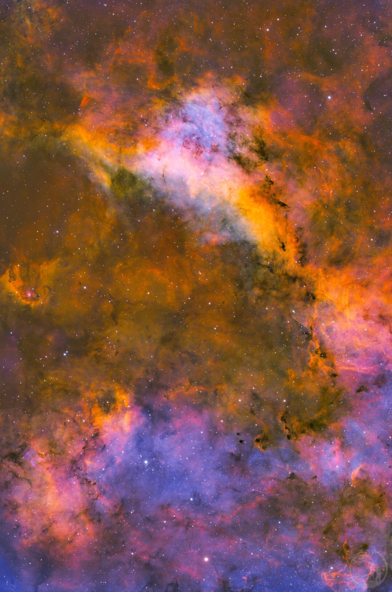 IC1318,天津一星云局部,重新调色,SHO