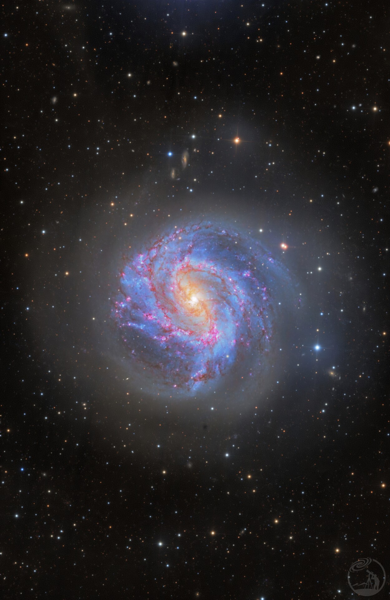 M83