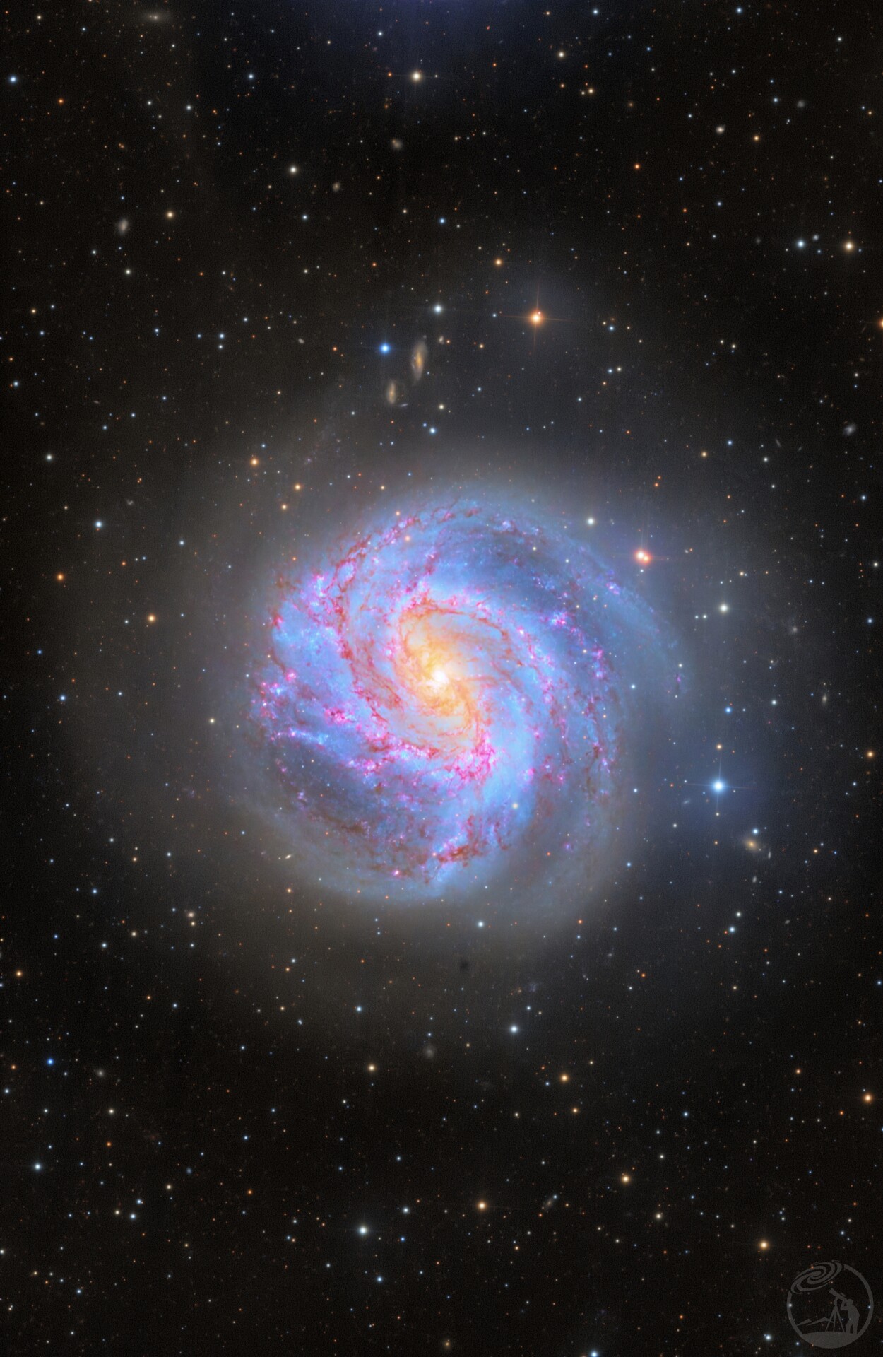 M83