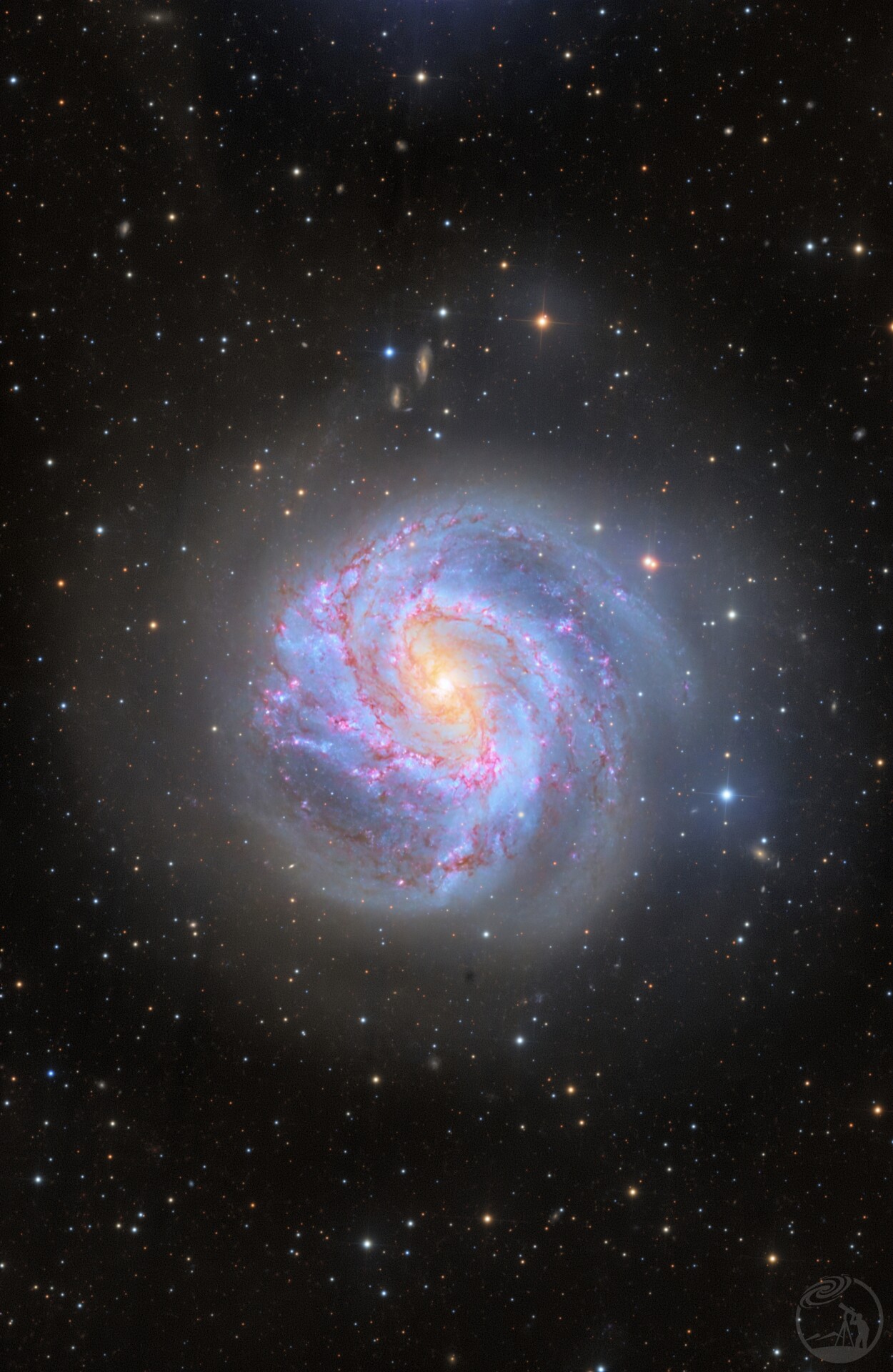 M83