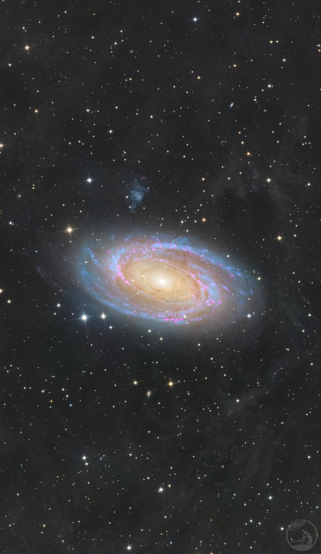 M81 v2