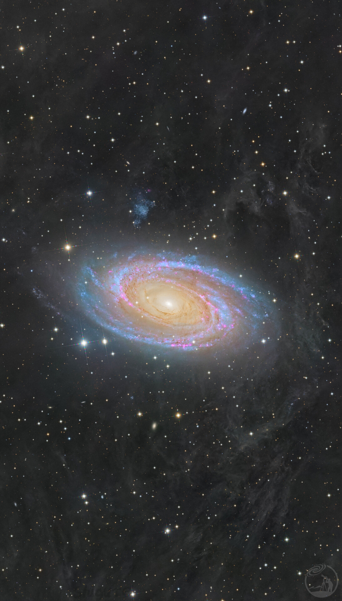 M81 v2